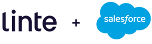 linte + salesforce linte + salesforce