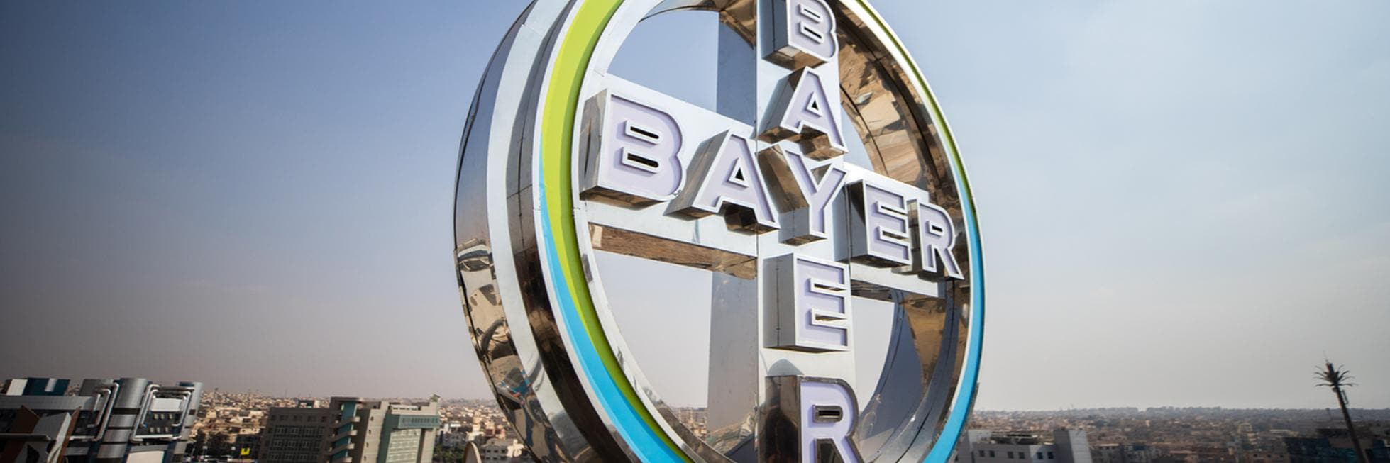 bayer-cruz